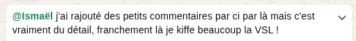Commentaire client : « J'ai rajouté des petits commentaires par ci par là mais c'est vraiment du détail, franchement là je kiffe beaucoup la VSL ! »